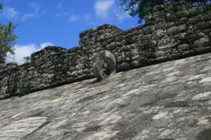 coba3
