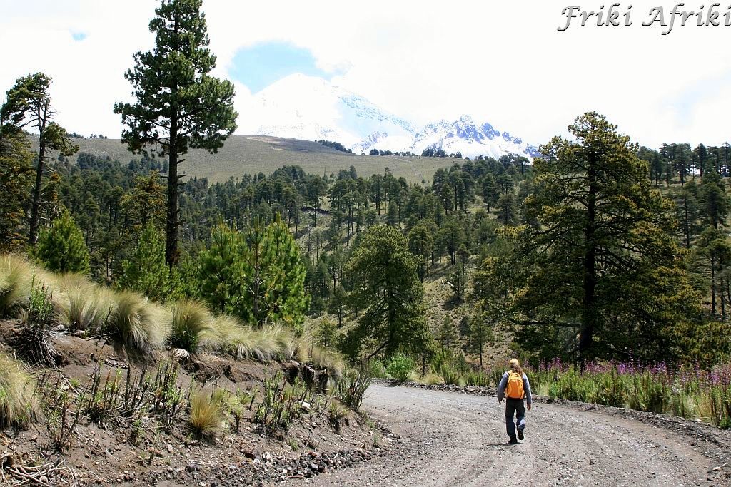 pico12