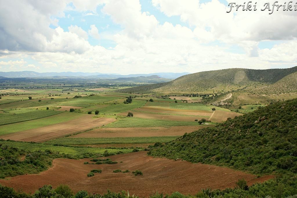 pico18