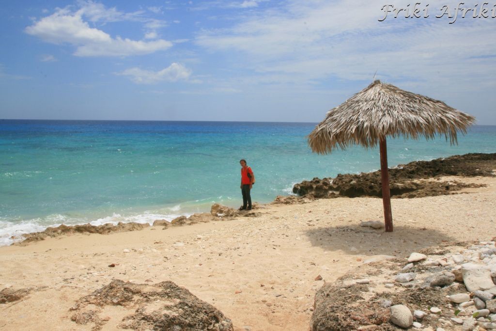 Plaża prawie idealna