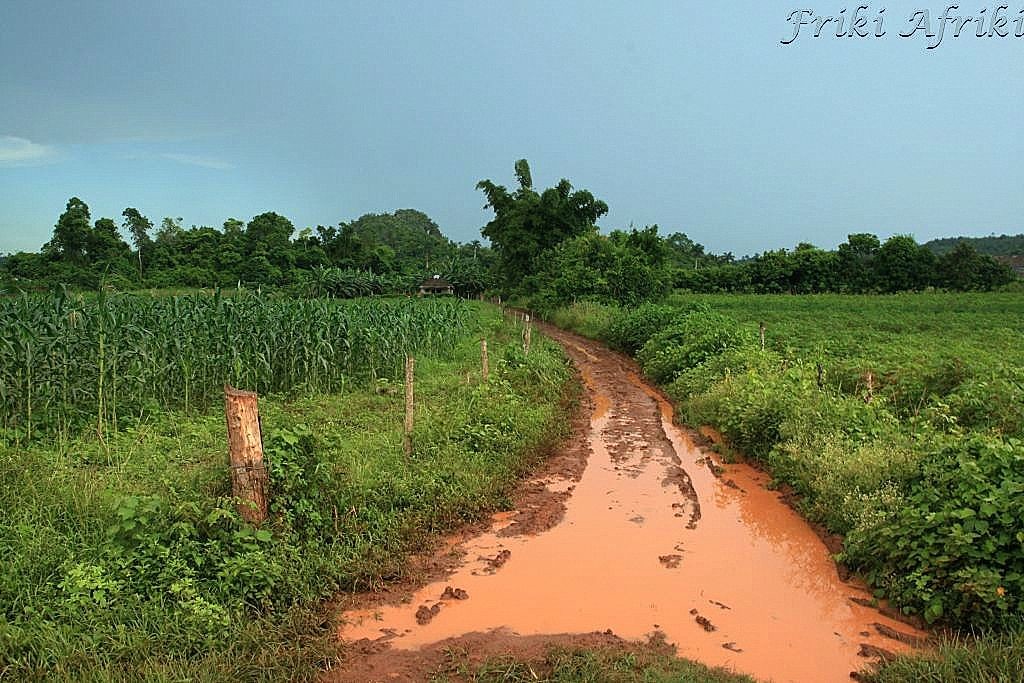 Po przechadzce taką drogą szczotka ryżowa jest niezbędna, by doprowadzić się do porządku (chyba że ma się kalosze;))
