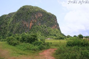 viniales08