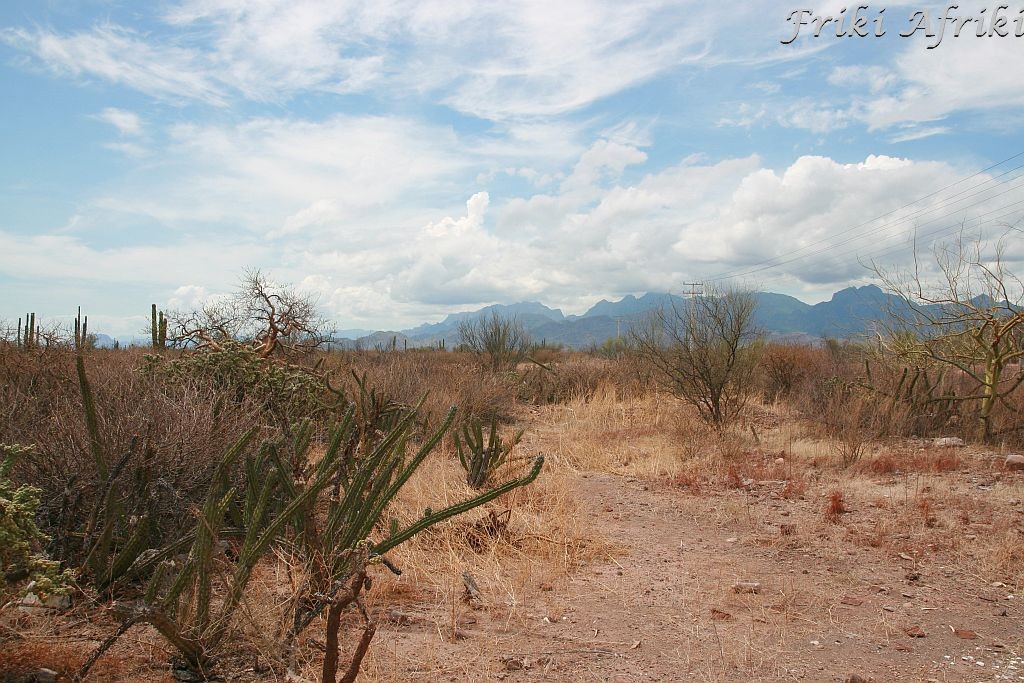 bajacalifornia08