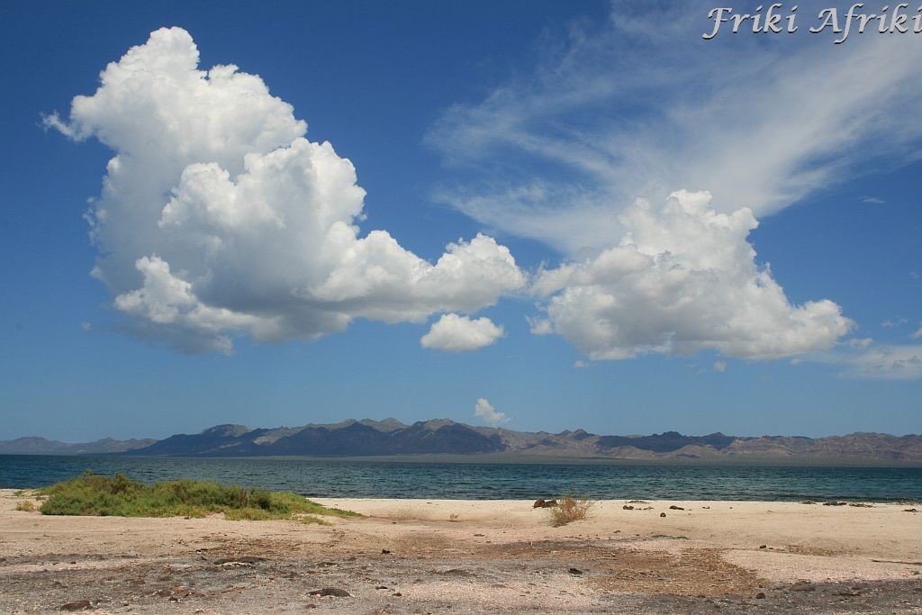 bajacalifornia22