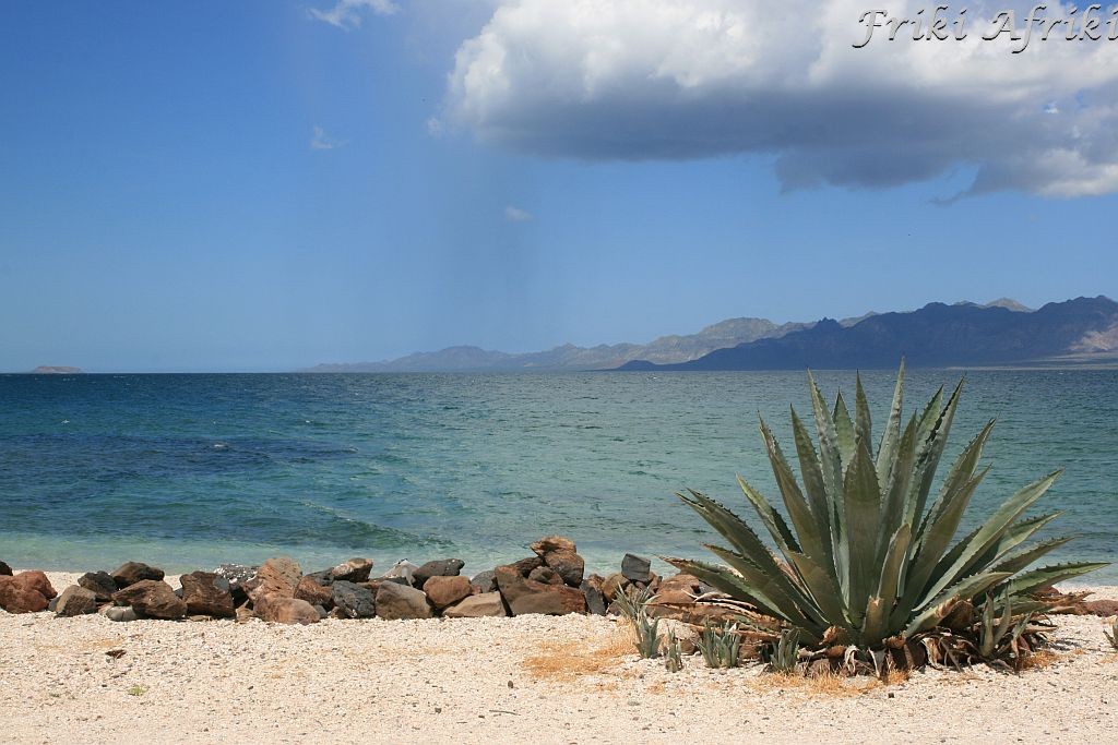 bajacalifornia23