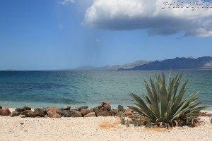 bajacalifornia23