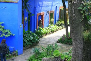 Patio, Casa Azul