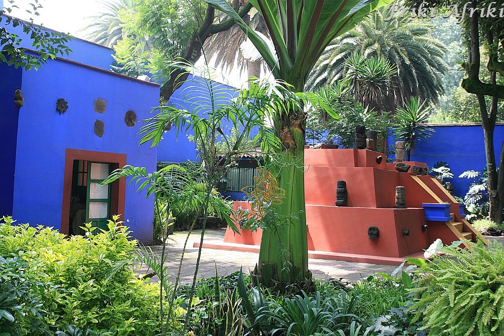Patio w Casa Azul