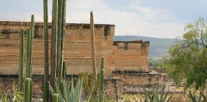 cropped-oax04.jpg