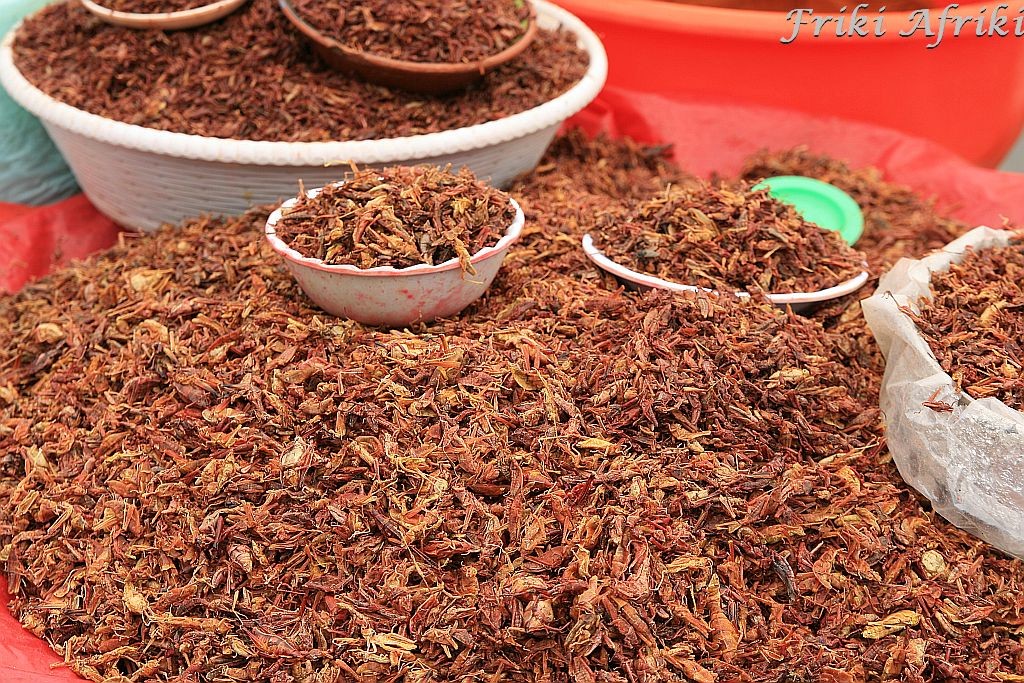Chapulines, czyli świerszcze