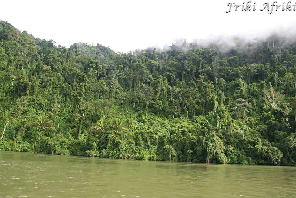 Rio Dulce