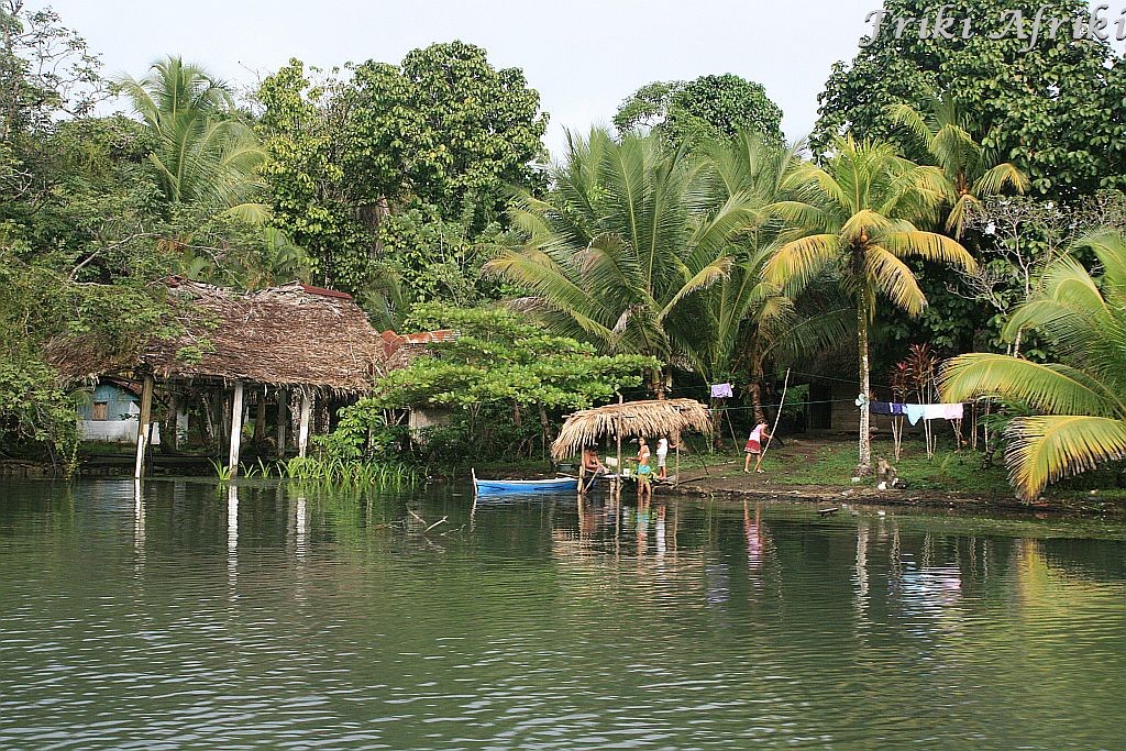 Domostwa na brzegu Rio Dulce