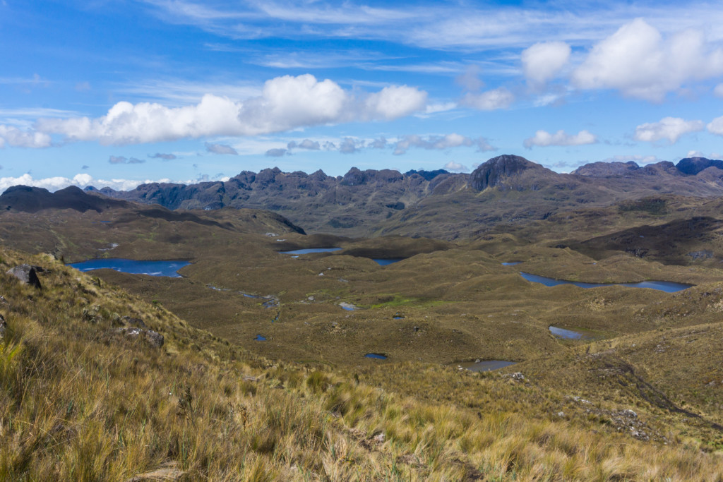 ekwador las cajas-21