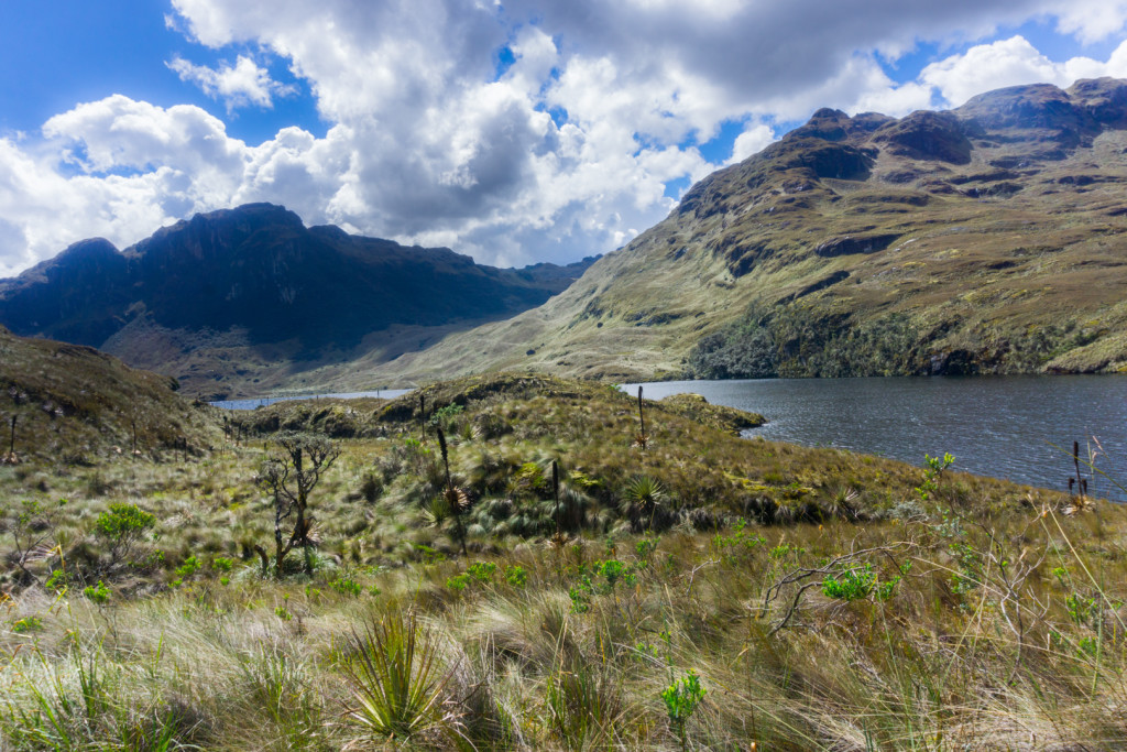 ekwador las cajas-30