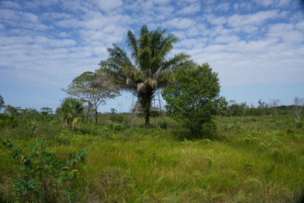 Nicaragua Pearl Lagoon-9