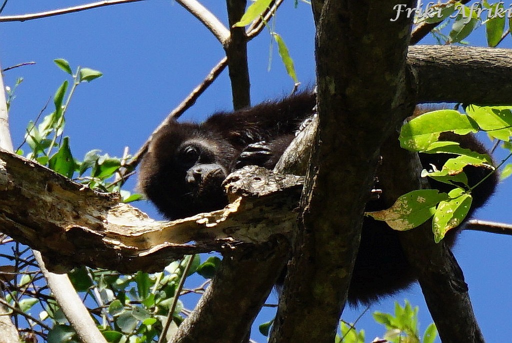 Nicaragua_Ometepe_30