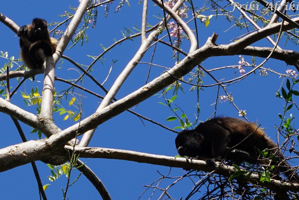 Nicaragua_Ometepe_31