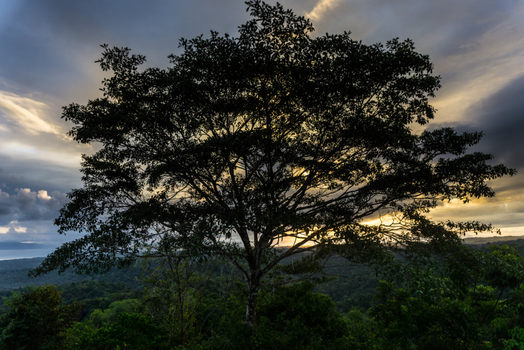 Costa Rica przyroda-31