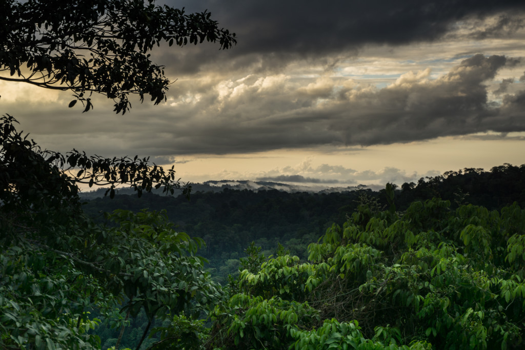 Costa Rica przyroda-32