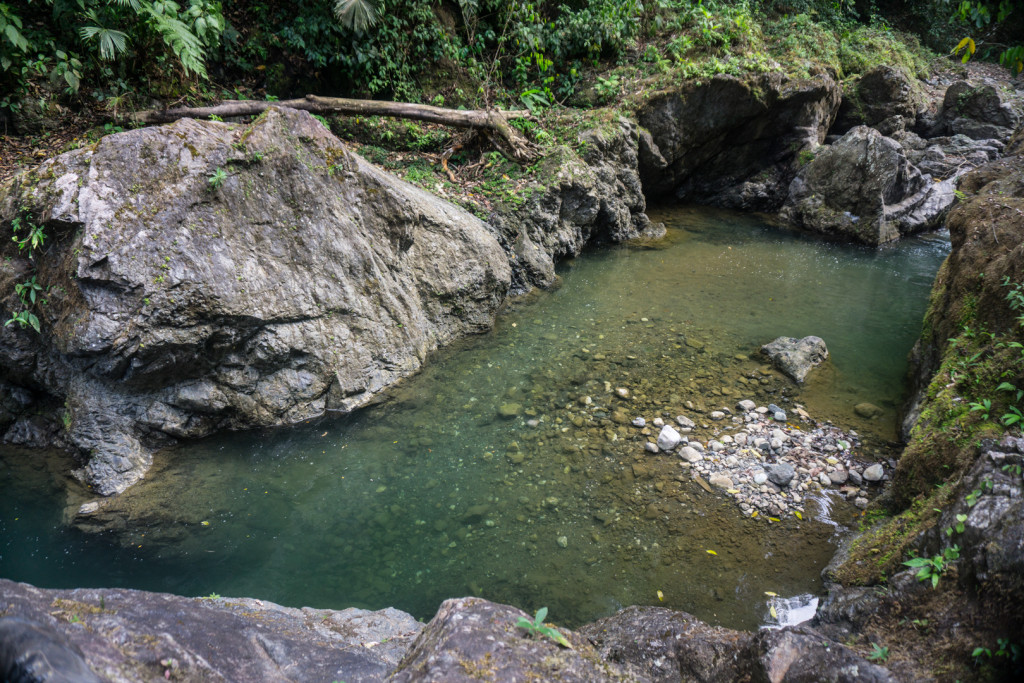 El Salto, Dos Brazos