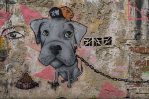 cartagena street art -7