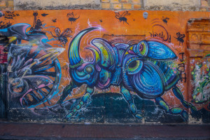Bogota street art-15