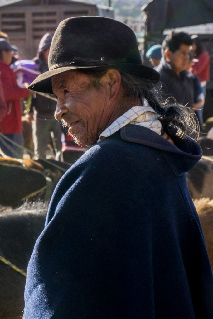 ekwador mercado de animales-13