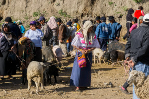 ekwador mercado de animales-22
