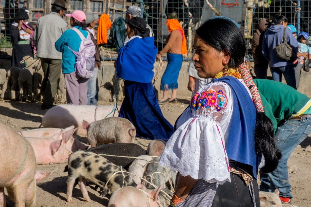 ekwador mercado de animales-24