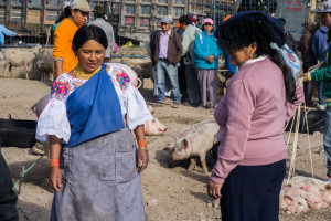 ekwador mercado de animales-25