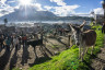ekwador mercado de animales-6