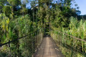 ekwador pastaza-48