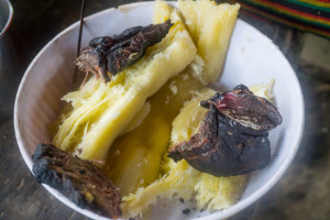 ekwador selwa comida-11