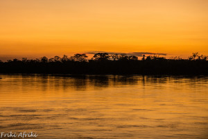 amazonia-27