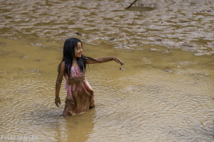 amazonia-3