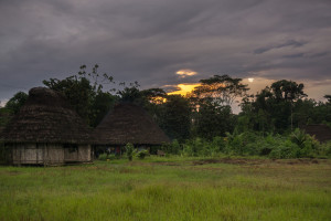 ekwador selwa widoki-6